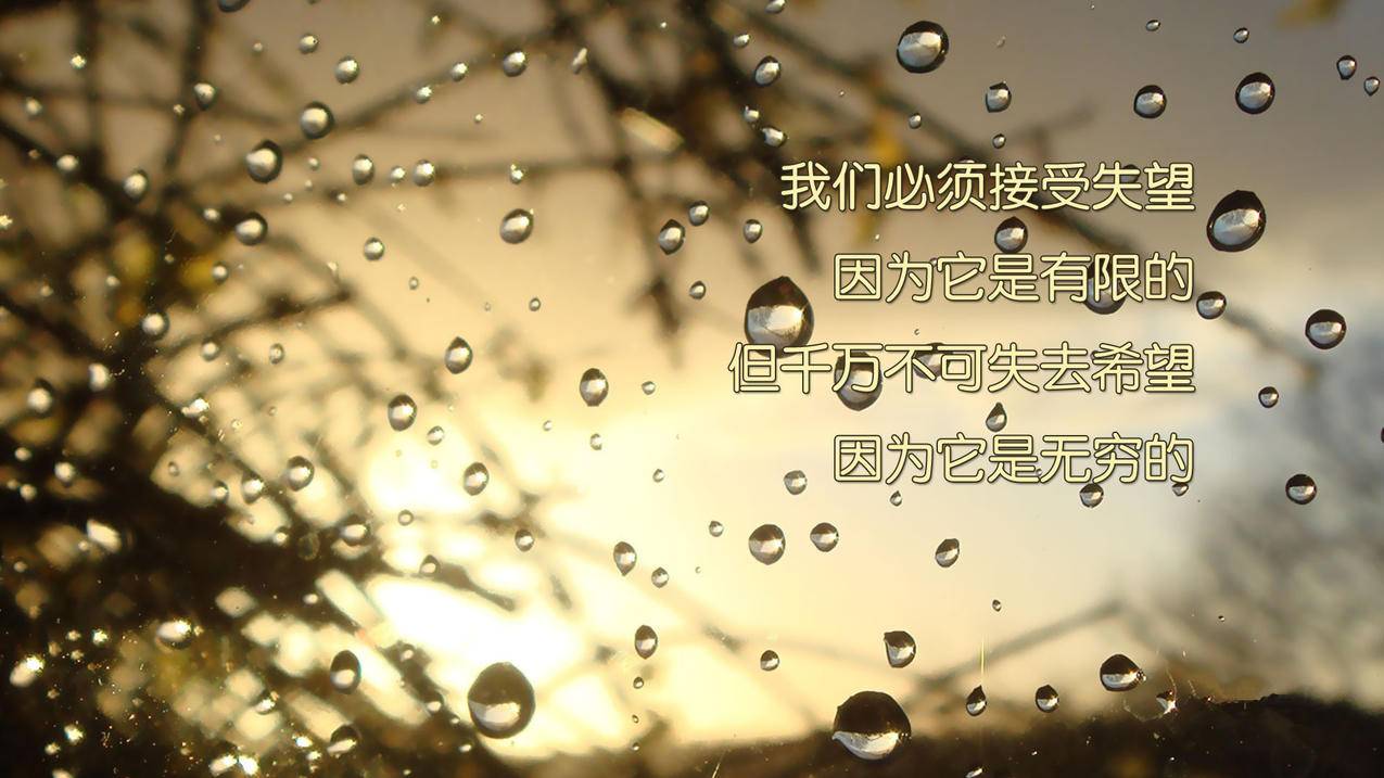 刷赞平台推广网站便宜|抖音涨粉业务套餐|1000个赞自助下单